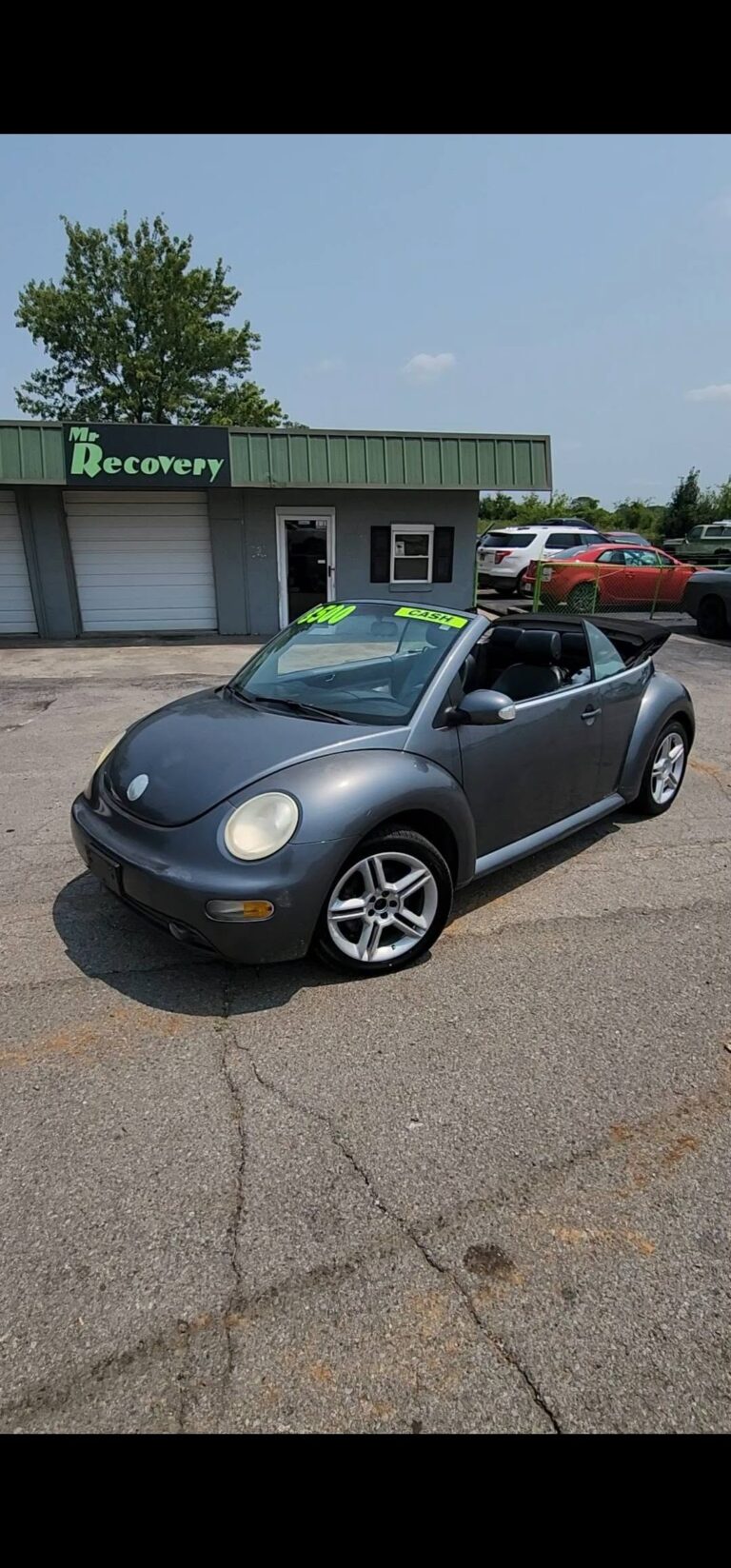 Vw Bug 768x1647